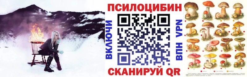 Псилоцибиновые грибы мицелий  маркетплейс состав  Санкт-Петербург 