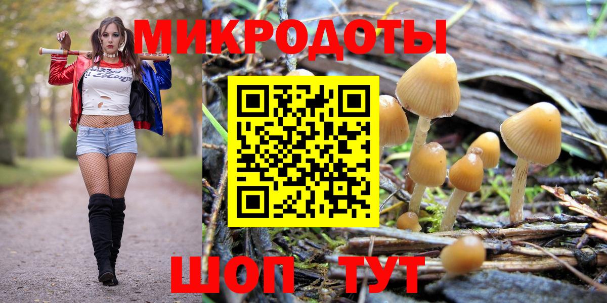 где найти наркотики  Галлюциногенные грибы Cubensis  Санкт-Петербург  Галлюциногенные грибы ЛСД 