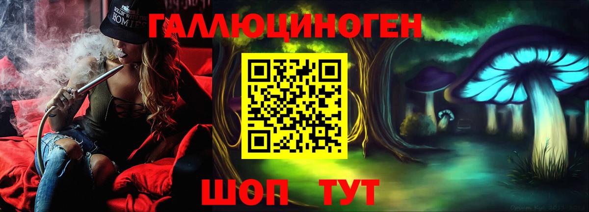 Псилоцибиновые грибы Psilocybine cubensis  Вход с VPN  Санкт-Петербург 