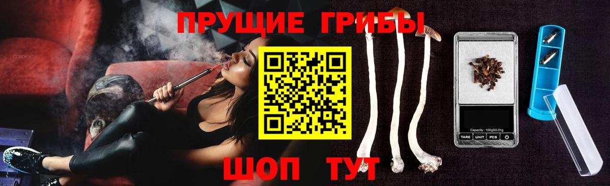 Псилоцибиновые грибы мухоморы Санкт-Петербург