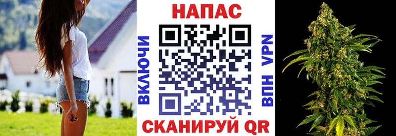 Конопля план  Санкт-Петербург 